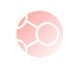 Custom System Development