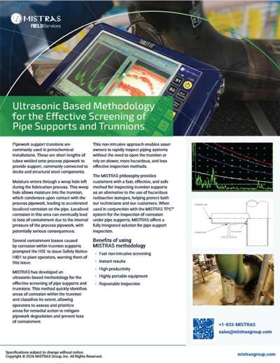 Ultrasonic Based Methodology for the Effective Screening of Pipe Supports and Trunnions